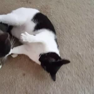 Meet your Posher, Tom